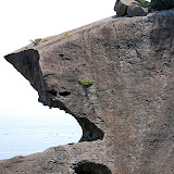 DSC_1196.jpg