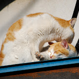 DSC_1824.JPG