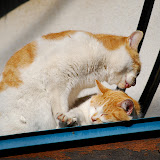 DSC_1825.JPG