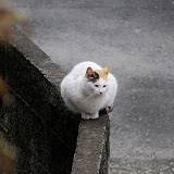 DSC_1185.JPG