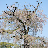DSC_0418.JPG