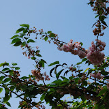 DSC_1231.JPG
