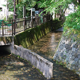 DSC_1249.JPG