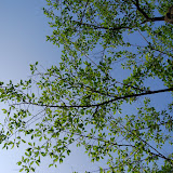 DSC_1221.JPG