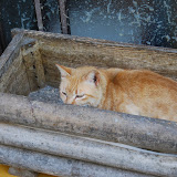 DSC_1364.JPG