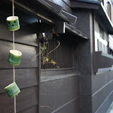 DSC_1404.JPG