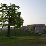 DSC_1448.JPG
