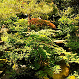 秋はまた紅葉で綺麗なのだろうなぁ。。。