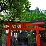 DSC_1181.jpg
