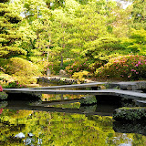 尾山神社の池。