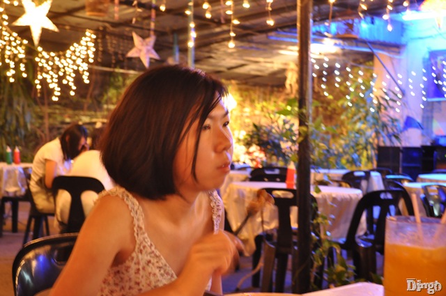 DSC_3541 DSC_3541