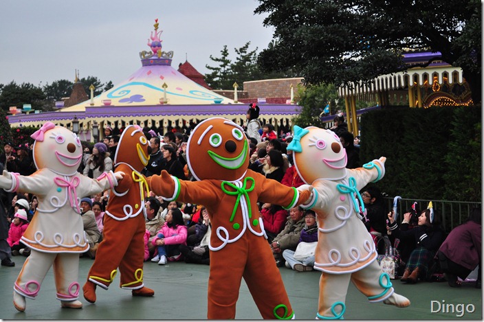 DSC_7105 DSC_7105