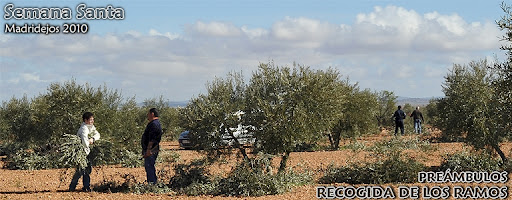 RECOGIDA DE LOS RAMOS POR SANJUANISTAS = 80 FOTOS