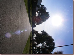 DSCF1056