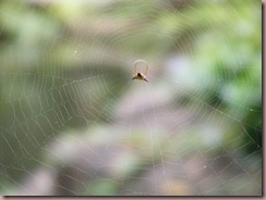 DSCF1255
