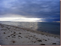 DSCF0328