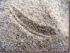 DSCF0340
