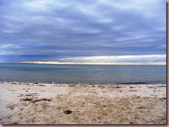 DSCF0343