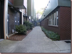 DSCF0586