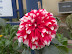 DSCN4888.JPG