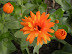 DSCN4880.JPG
