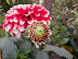 DSCN4921.JPG