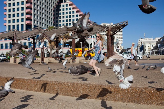 [_MG_6422 (Large)[4].jpg]