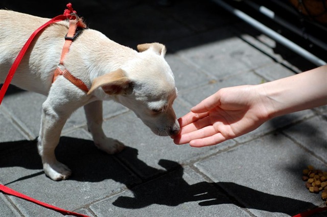 [DSC_1486 (Large)[3].jpg]