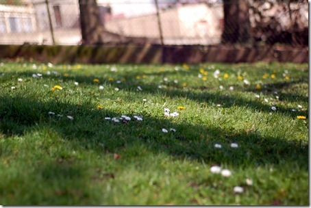 [DSC_0122_thumb12.jpg]