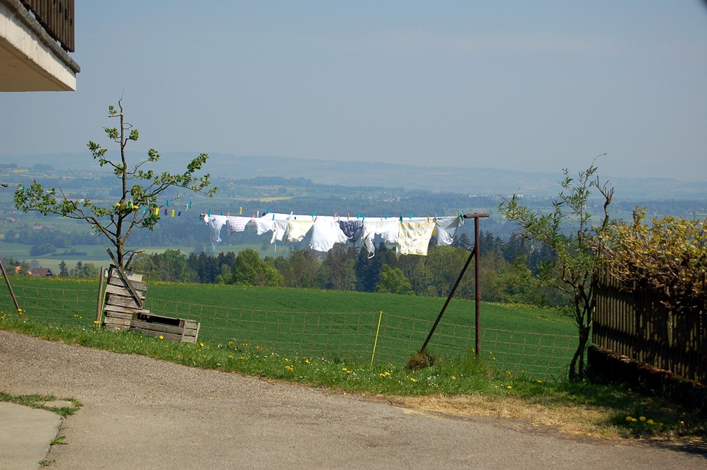 [DSC_06253.jpg]