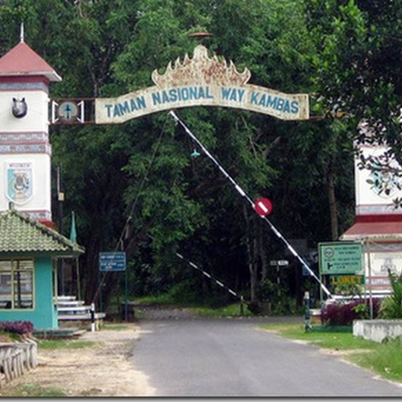 Taman Wisata Way Kambas Lampung