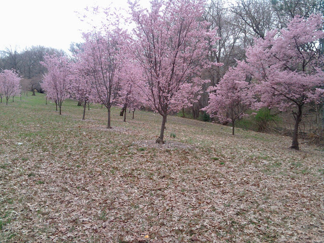 2010-03-28%2010.13.19.jpg