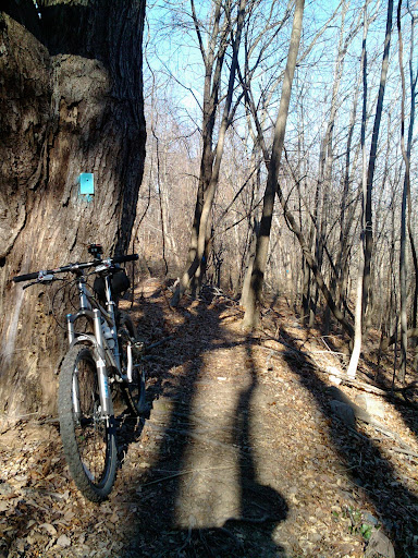 2010-12-24%2012.28.3a1.jpg