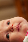 IMG_1286.jpg