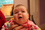 IMG_1426.jpg