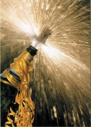 [champagne2-1[3].jpg]