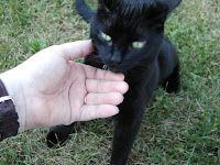 Cats &ndash; 
