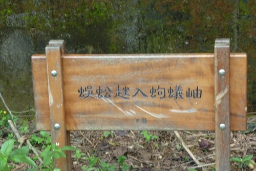 [P1030277[3].jpg]