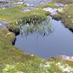 DSC00143.JPG