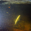 P7260818-2.JPG