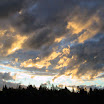 DSC00101.JPG