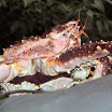 DSC00227.JPG