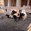 IMG_2363.JPG