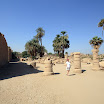 IMG_2428.JPG