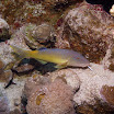 PB211730-1.JPG
