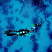 PB201470-1.JPG
