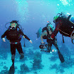 PB201486-1.JPG
