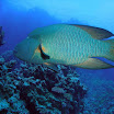 PB201524-1.JPG