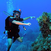 PB201536-1.JPG