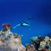 PB201580-1.JPG